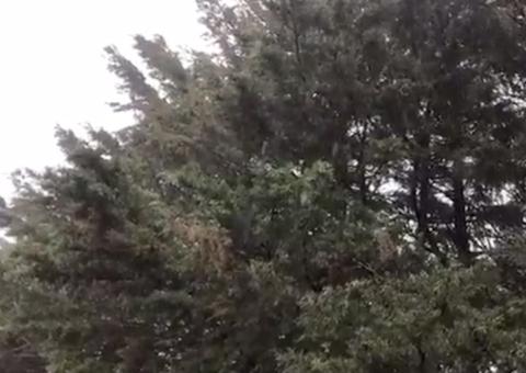 Vídeo mostra chuva congelada; conheça o fenômeno