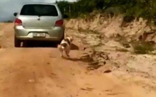 Cachorro é amarrado em carro e arrastado pela estrada