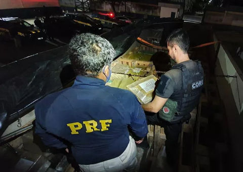 PRF apreende mais de 6 toneladas de maconha avaliadas em R$ 5 milhões