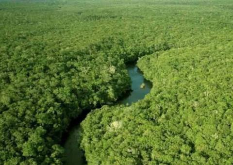 Governo destinará R$ 500 milhões para proteger mata nativa da Amazônia