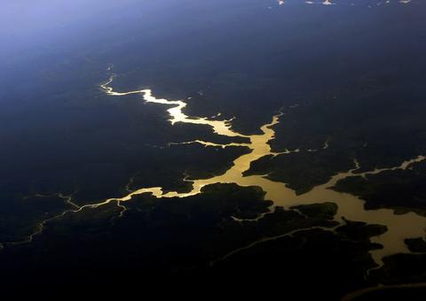 Governo destinará R$ 500 milhões para proteger mata nativa da Amazônia