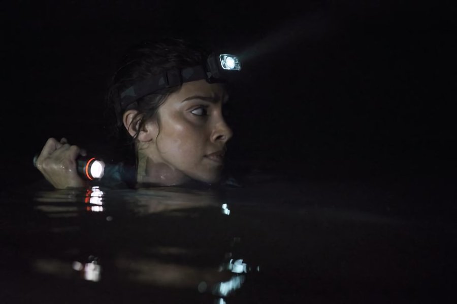 Crocodilos sanguinários atacam no trailer de Medo Profundo 2