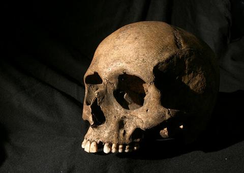 Grupos no Facebook criam mercado negro que vende de fetos a ossadas humanas