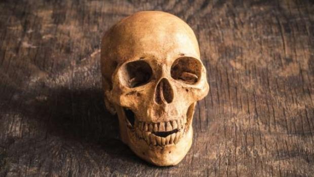 Grupos no Facebook criam mercado negro que vende de fetos a ossadas humanas