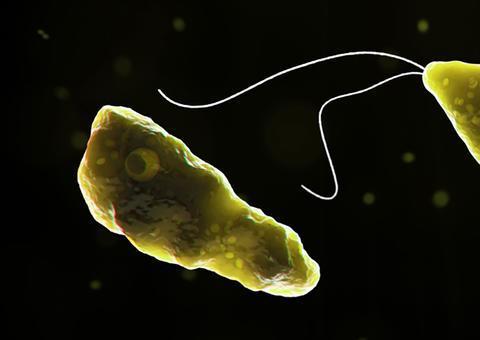 Caso incomum de ameba destruidora de cérebro é confirmado na América