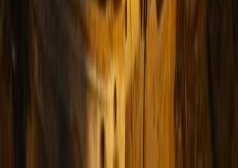 Jovem morre em acidente de carro trágico no Amazonas