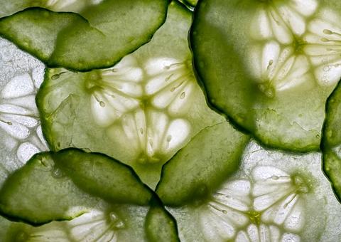 Receita natural para reduzir o aparecimento de olheiras; confira