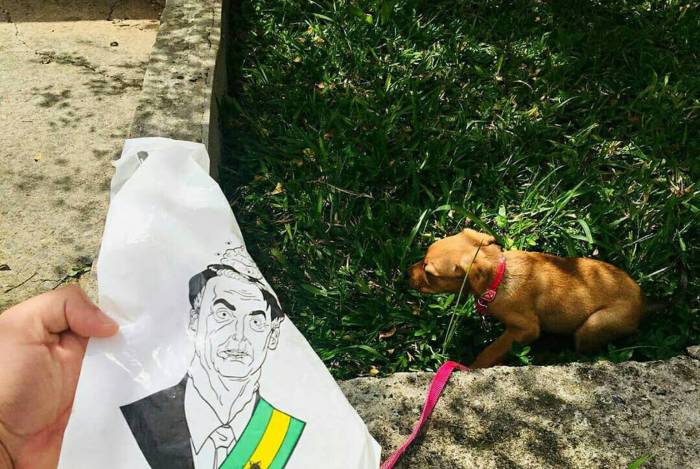 Empresa lança sacos para cocô de cachorro com rosto de Bolsonaro e anúncios ousados