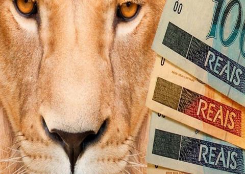 Serviço de malha fiscal da Receita Federal está disponível para pessoa física