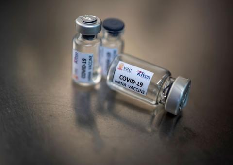 São Paulo inicia testes da vacina contra novo coronavírus neste mês