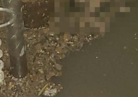 Corpo de bebê é encontrado em esgoto