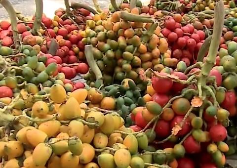 Pupunha é a melhor amiga da visão; veja benefícios