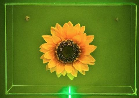 Casarão de Idéias realiza instalação poética inspirada em poema de Thiago de Mello