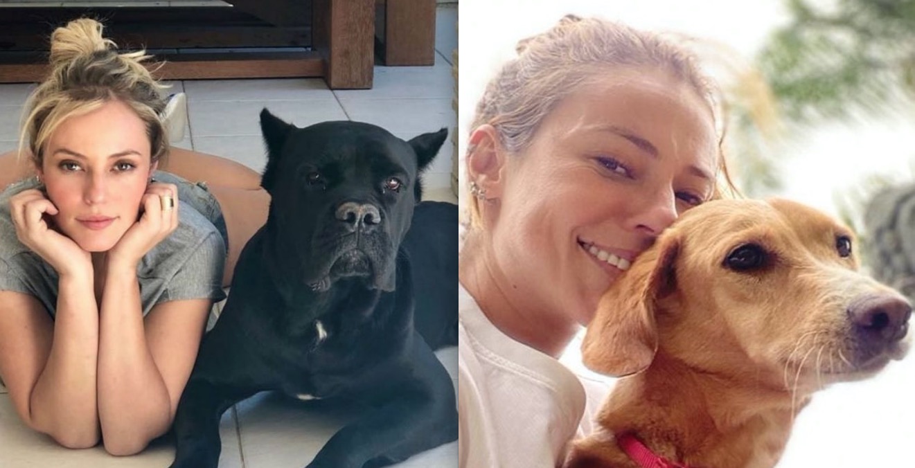 Paolla Oliveira é levada às pressas ao hospital após ser mordida por cachorro 