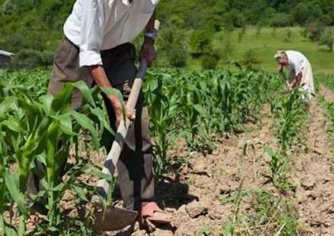 Conversão de benefício assistencial ao idoso em aposentadoria rural é direito