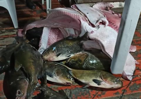 Operação Hórus apreende quase 1 tonelada de pescado e carne ilegal