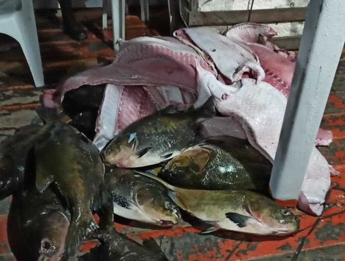 Operação Hórus apreende quase 1 tonelada de pescado e carne ilegal