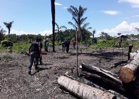 Dupla é presa por crime ambiental em área de preservação no Amazonas 