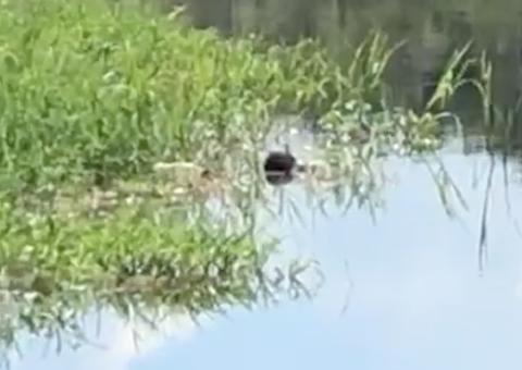 AO VIVO: Corpo de homem é encontrado no lago do puraquequara