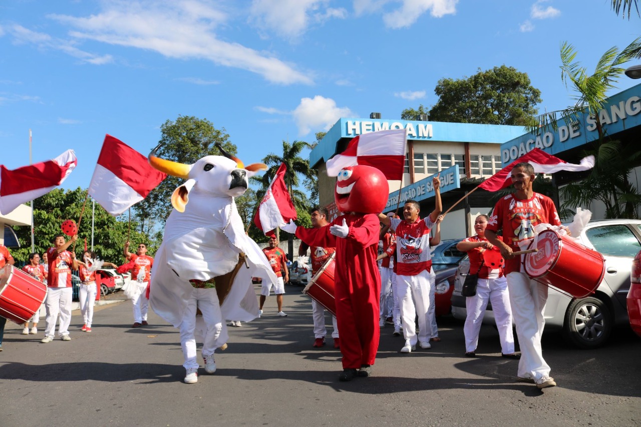 Doadores de sangue terão pocket show do Bumbá Garantido nesta sexta-feira