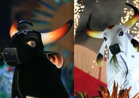 Boi-Bumbá e Çairé: Confira a programação de Lives desta quarta e quinta