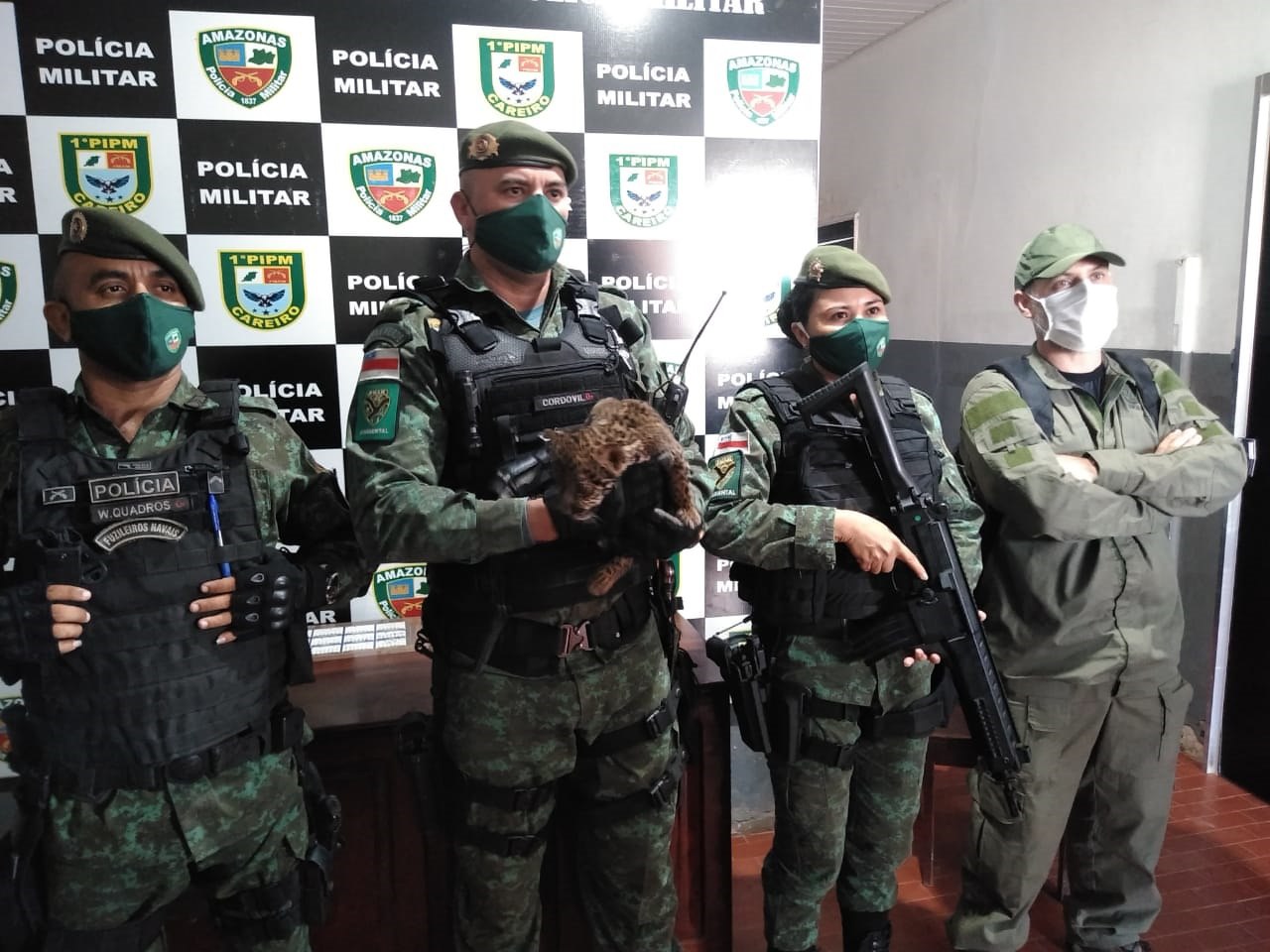 Polícia ambiental resgata filhote de onça que entrou em residência no Amazonas 