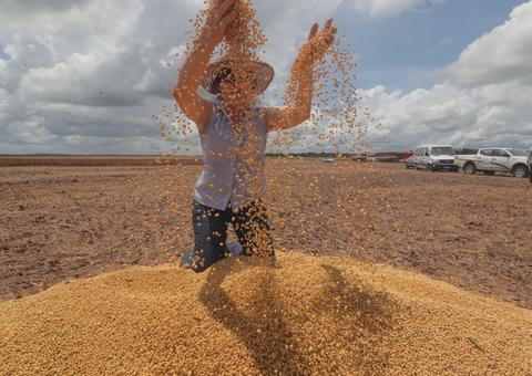 Produtor rural obtém financiamento de cooperativas de crédito no Amazonas