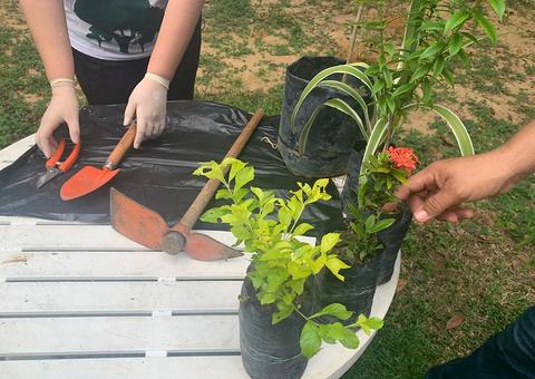 Videoaulas do 'Minicursos On-line’ dá dicas sobre jardinagem em Manaus