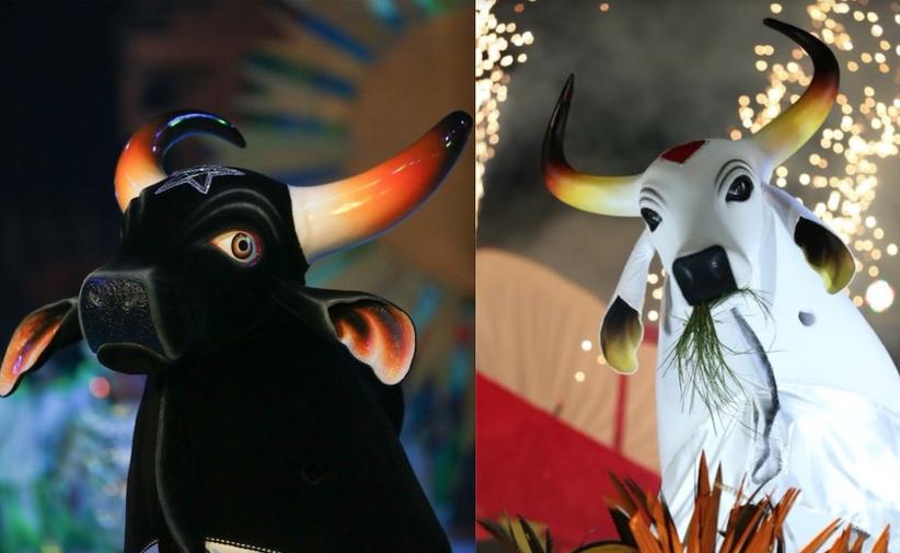 Festival Folclórico de Parintins 2020 acontece em novembro