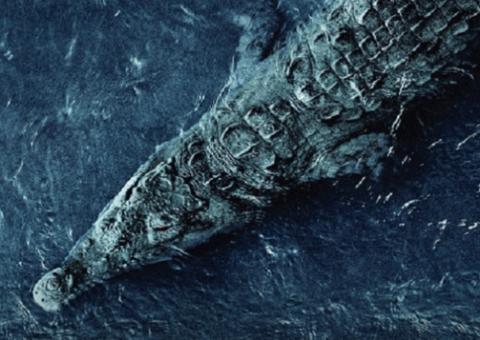 Crocodilos assassinos atacam em novos clipes arrepiantes de Medo Profundo 2