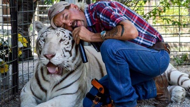 Restos mortais são encontrados em poço de jacaré de Joe Exotic