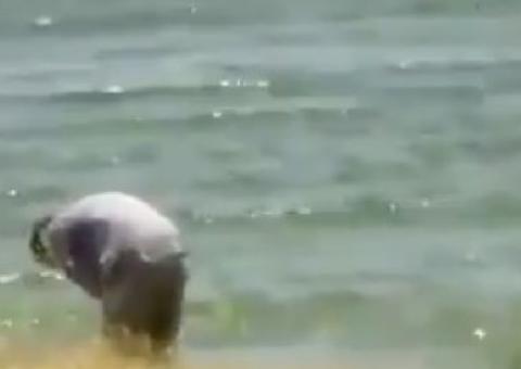 Ex-marido de Naya Rivera se desespera ao chegar em lago onde atriz desapareceu