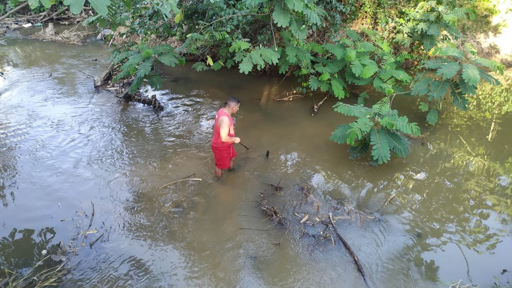Homem encontra crânio ao fazer limpeza em quintal