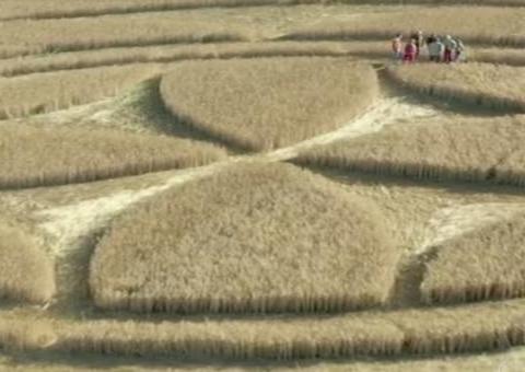Símbolo enigmático surge em campo de trigo e atrai curiosos 