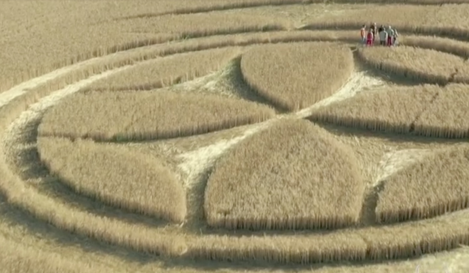 Símbolo enigmático surge em campo de trigo e atrai curiosos 