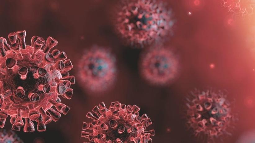 Covid-19: Brasil chega a 72,8 mil óbitos e 1,88 milhão de casos