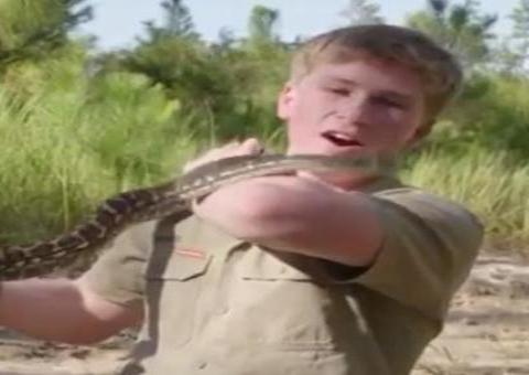 Vídeo mostra filho de lendário Steve Irwin sendo atacado por serpente