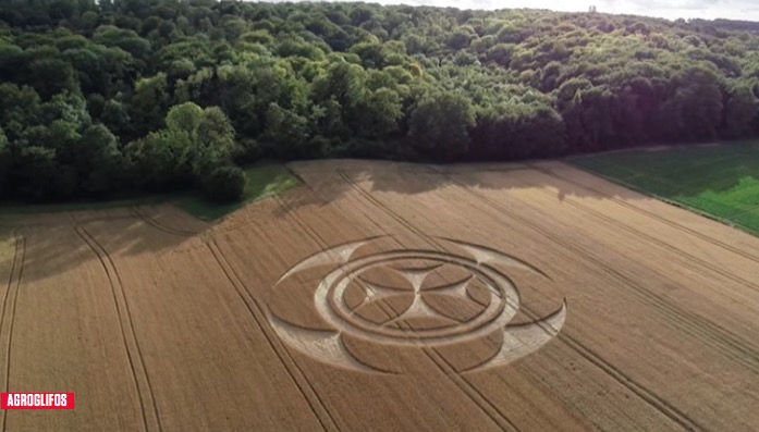 Mistério: símbolo em plantação intriga curiosos