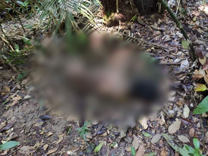 Jovem que estava desaparecido desde junho em Maués é encontrado morto