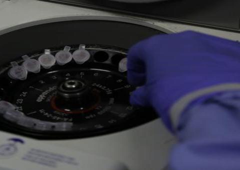 Instituto afirma que transmissão do covid deve ocorrer até 2021 no Brasil