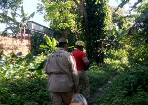 AO VIVO:  Corpo de mulher desaparecida é encontrado decapitado em Manaus