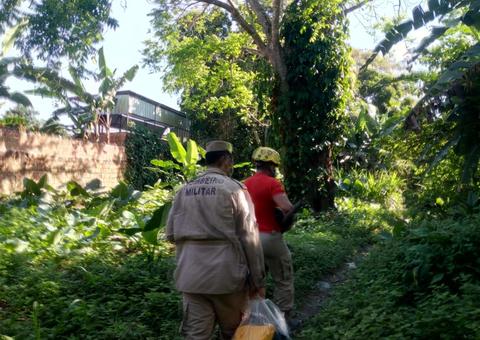 Bombeiros e PMs procuram por cabeça de mulher assassinada por facção em Manaus