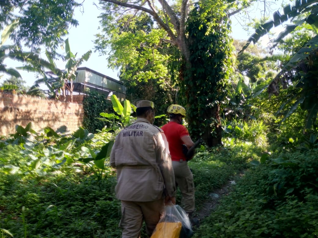 Bombeiros e PMs procuram por cabeça de mulher assassinada por facção em Manaus