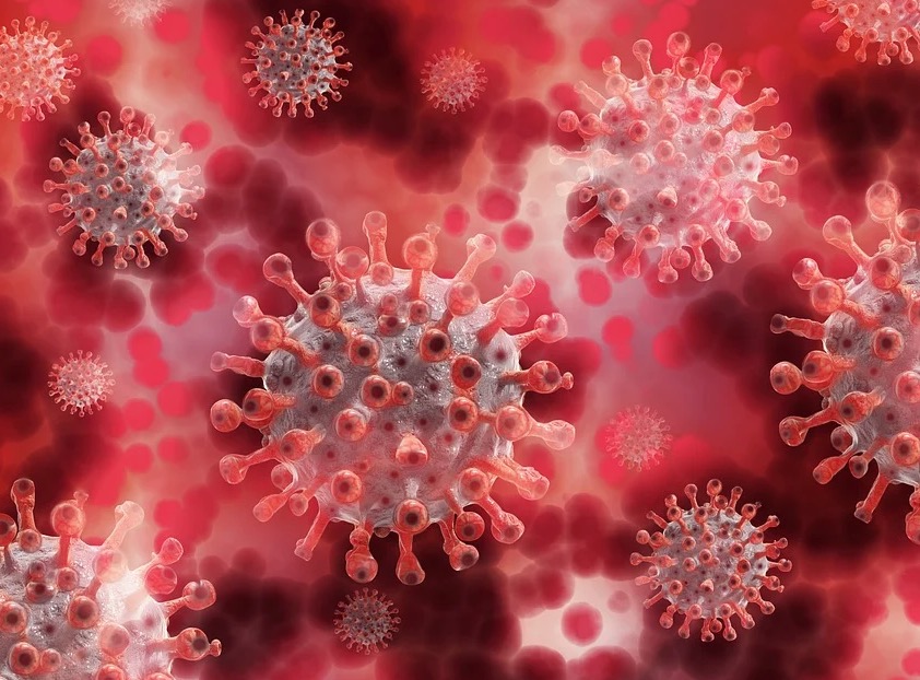 Brasil chega a 2 milhões de infectados pelo novo coronavírus