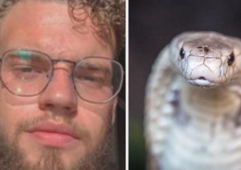 Família e estudante de veterinária picado por Naja serão multados em R$ 78 mil 