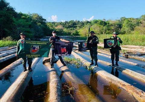 Polícia faz maior apreensão de madeira ilegal dos últimos quatro anos no Amazonas