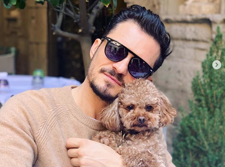 Orlando Bloom pede ajuda para encontrar seu cão e oferece recompensa; ‘coração partido’