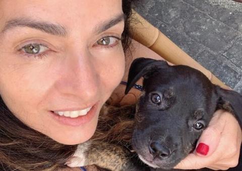 Nervosa, Claudia Ohana rebate críticas após devolver cachorros adotados