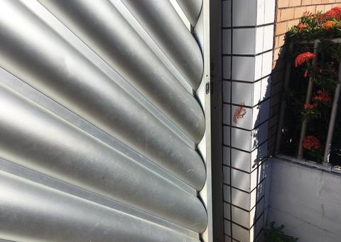 Assaltante invade aniversário e acaba morto a pauladas por convidados em Manaus