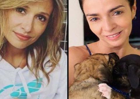 Luisa Mell critica Claudia Ohana por devolver cachorros adotados: ‘tenha responsabilidade’